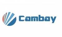 Cambay Consulting