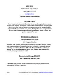 Sample Resume Before Professional Writing