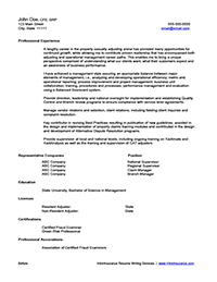 Sample Resume Before Professional Writing