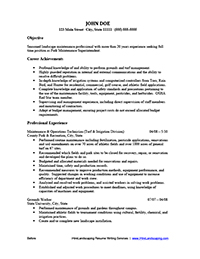 Sample Resume Before Professional Writing