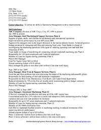 Sample Resume Before Professional Writing