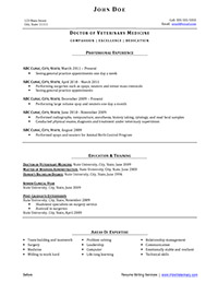 Sample Resume Before Professional Writing